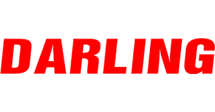 tủ đông Darling
